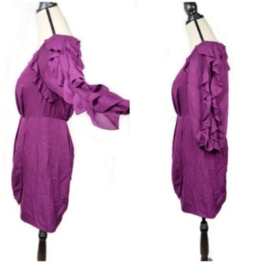Tibi Pleated Wrap Ruffle Sleeve Keyhole Silk Dress 8 - Picture 3 of 8